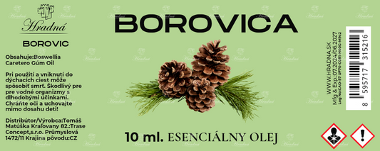 Borovica