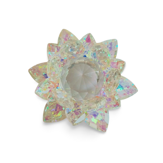 Lotos dúhový stredný