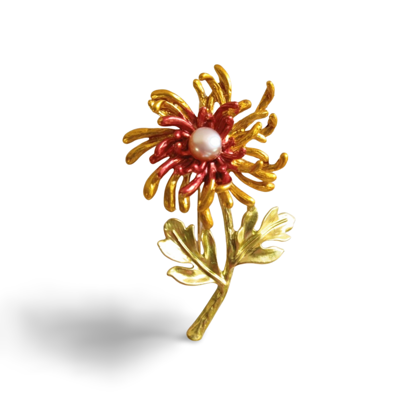 Plesnivec- oranžový