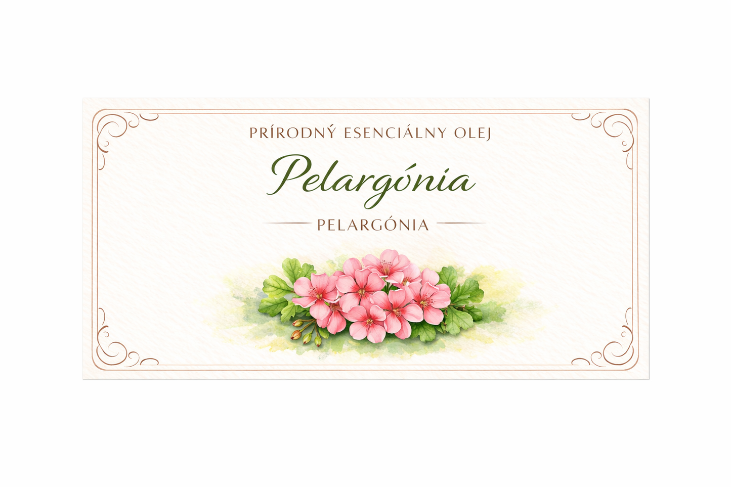 Pelargónia