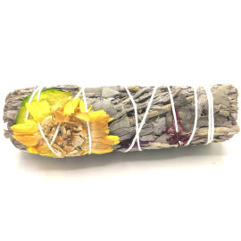 Šalvia Georgínová