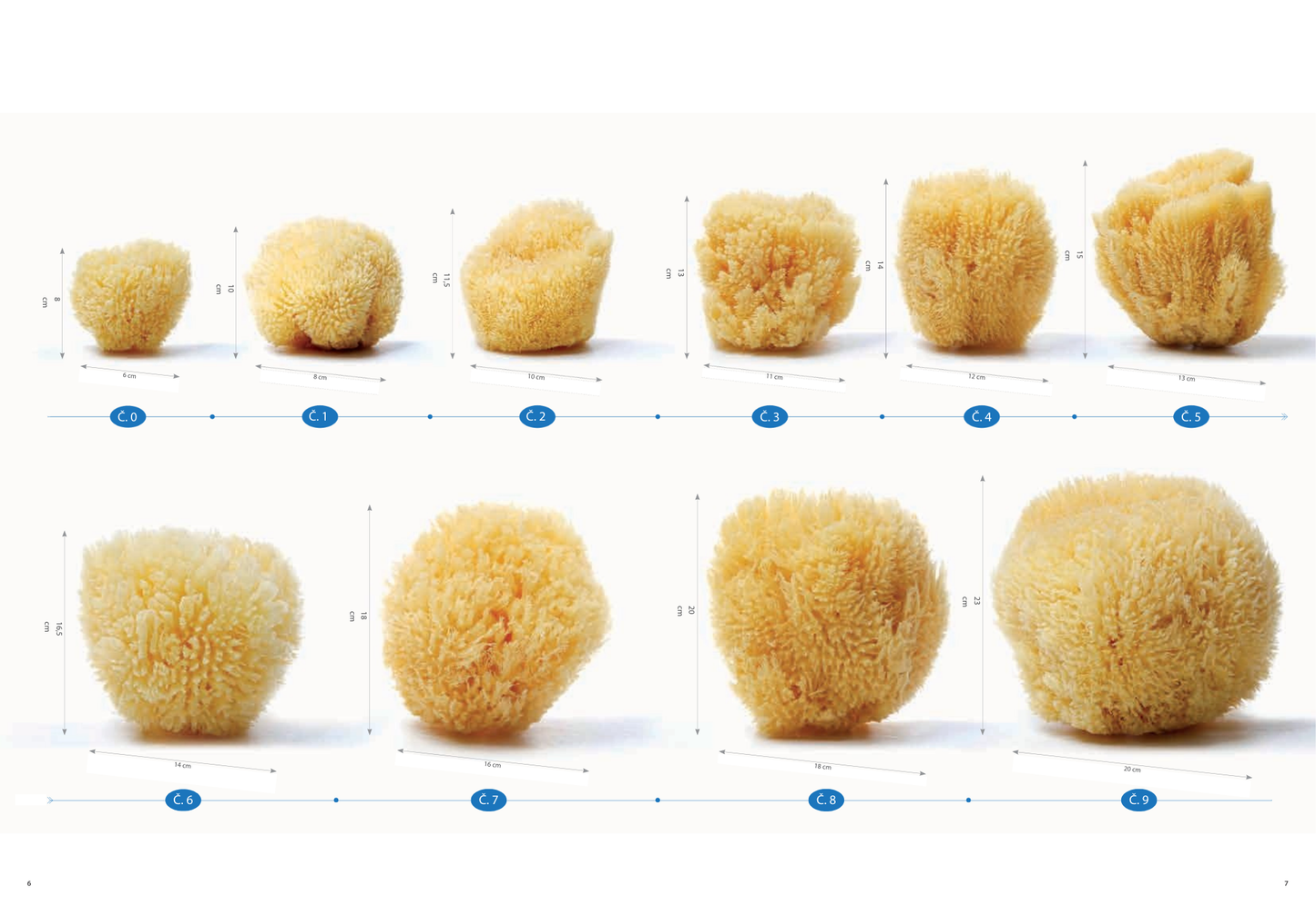 Vlnená morská špongia „Karibský plást“