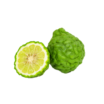 Bergamot