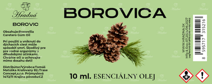 Borovica
