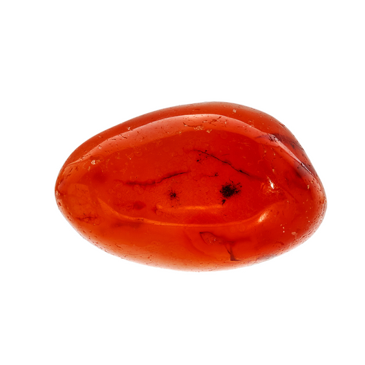 KORÁL
